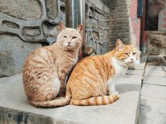 -终南山南五台景区