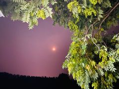 -华盛园卷子王农家菜水库鱼