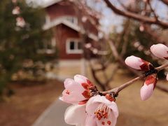 -永定河休闲森林公园