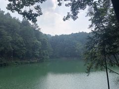 -缙云山景区