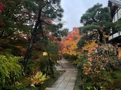 -常寂光寺