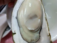 海岛蚝-邹记·美食(斗门店)