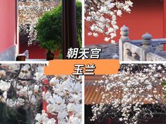 -鸡鸣寺
