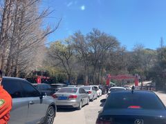 -鲁山国家森林公园