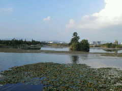 android_upload_pic-湖泉半山温泉