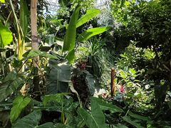 -郑州植物园