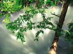 -国家植物园