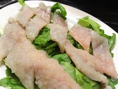 那哥鱼-金砂阿洲鱼册店