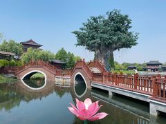 -董永七仙女文化园