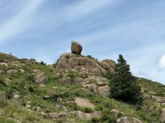 -芦芽山旅游度假区