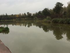 -白鹭湾湿地公园