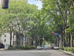 -上海市儿童医院(北京西路院区)