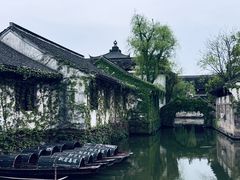-鲁镇