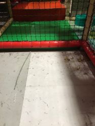 -玩元素·家庭游乐成长中心(香格里拉店)