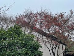 -浙江省博物馆(孤山馆区)