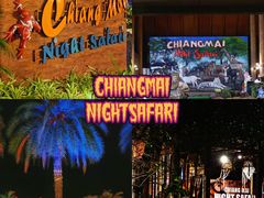 -清迈夜间动物园