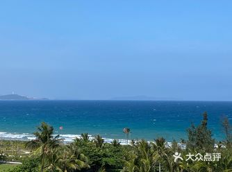 Into the Forest, into the Sea