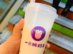 -一只酸奶牛(八一路店)