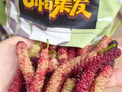 -北戴河集发农业梦想王国