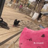 第一次独自带孩子出行
