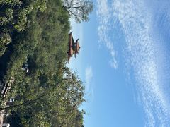 -飞天山旅游区