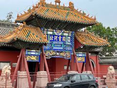 -药王庙(安国市)