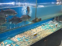 -高家烧鸽子烧烤店63年