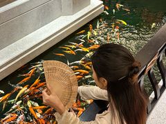 -龙悦湾酒家·八阵鱼生·渔人码头店