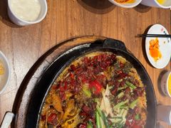 -老板恋上鱼(恒隆广场店)