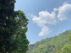 -阿哈湖国家湿地公园