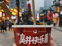-黑色经典臭豆腐·湖南特产(太平街口店)
