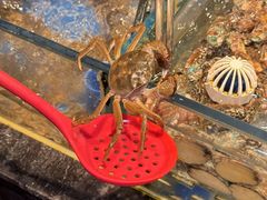 -焰江山海鲜牛排烤肉自助(锦华万达二星店)