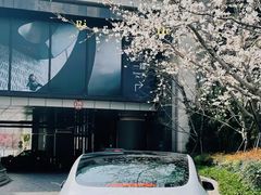 -TESLA 特斯拉(上海太古汇体验店)