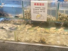 -钱小奴创意自助餐厅·原切谷饲安格斯畅吃(宁波慈溪爱琴海店)