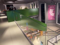 -爪吧宠物乐园·宠物泳池(温榆河示范区店)