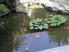 -膳和缘炒鸡店(南门路店)