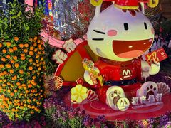-越秀西湖花市(广州城市广场花卉店)