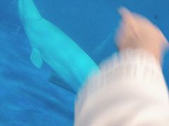 -泉城欧乐堡海洋极地世界