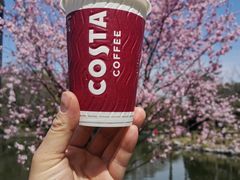 -COSTA COFFEE(上海虹口公园店)