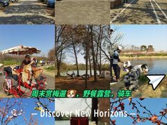 -上海海湾国家森林公园