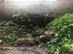 -赤水丹霞旅游区·佛光岩