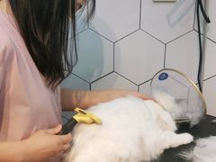 -萌兽医馆·眼科·异宠专科(三里屯店)