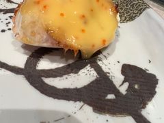 -上宴精品海鲜姿造(晶融汇旗舰店)