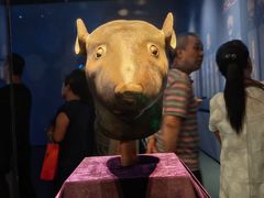 -广西壮族自治区博物馆