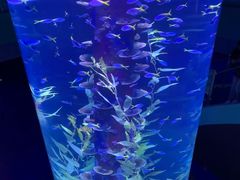 -广州海洋馆