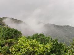 -北京鹫峰国家森林公园
