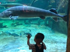 -华夏文旅海洋公园