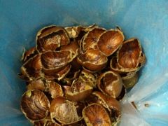 -金栗王(清扬路店)