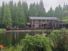 -黄海国家森林公园