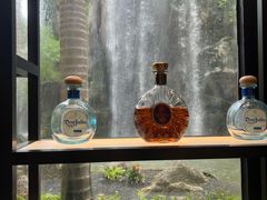 -广州花园酒店